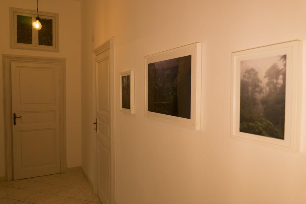 Trastevere Corner Eight Рим Екстер'єр фото